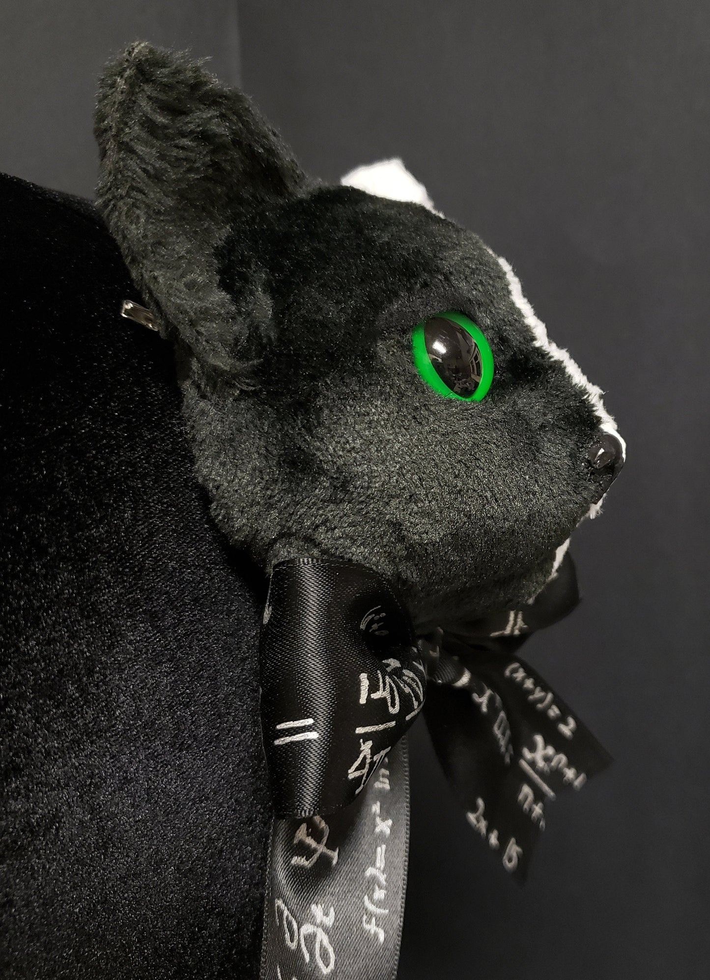 Black and White Schrödinger's Cat Fascinator ~ 9+ Eye Colors Available! ~ Made to Order